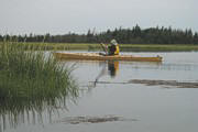 Don checking out the marshes