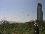 Grindstone Island Light