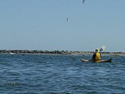 Don and the Grey Seals