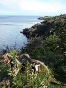 This is a view from the campsite, looking down the coast towards the Swallowtail Lighthouse. Quite an impressive location. 